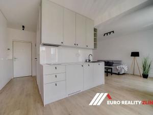 Pronájem bytu 1+kk, Zlín, Sadová, 46 m2
