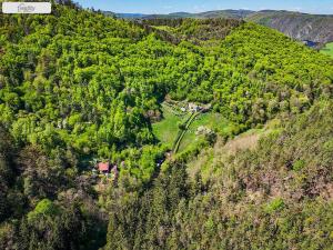 Prodej lesa, Milešov - Přední Chlum, 54900 m2