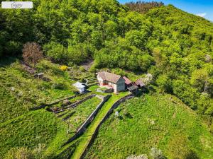 Prodej lesa, Milešov - Přední Chlum, 54900 m2