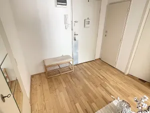 Pronájem bytu 2+kk, Praha - Smíchov, Radlická, 46 m2
