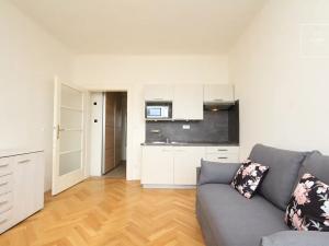 Pronájem bytu 1+kk, Praha - Vinohrady, Chopinova, 22 m2