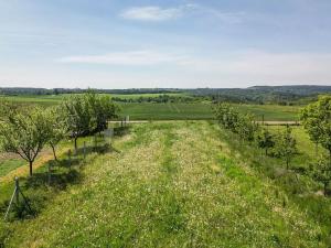 Prodej rodinného domu, Lažánky, 170 m2