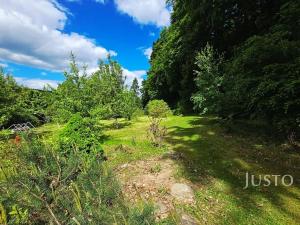 Prodej zahrady, Písek, Na Ptáčkovně, 3078 m2