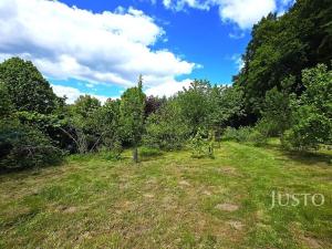 Prodej zahrady, Písek, Na Ptáčkovně, 3078 m2