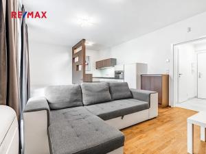 Prodej bytu 1+kk, Praha - Žižkov, Olšanská, 35 m2