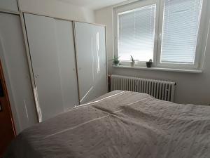 Pronájem bytu 2+1, Třebíč, Okrajová, 54 m2