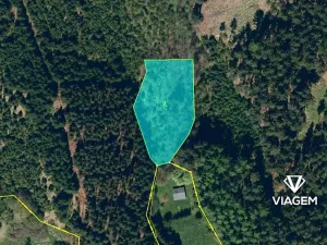 Prodej podílu lesa, Třebětín, 1638 m2