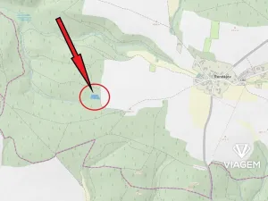 Prodej podílu lesa, Řendějov, 1292 m2