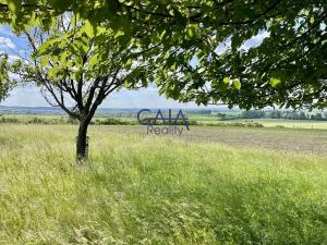 Prodej zahrady, Hroznová Lhota, 4104 m2