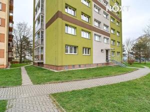 Pronájem bytu 1+1, Ostrava, Petra Křičky, 29 m2