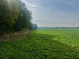 Prodej pole, Praha, Na Padesátníku I, 24066 m2