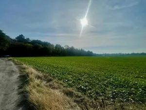 Prodej pole, Praha, Na Padesátníku I, 24066 m2