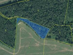 Prodej podílu lesa, Čistá, 878 m2