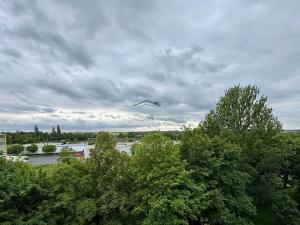 Pronájem bytu 1+1, Kolín, Rimavské Soboty, 36 m2