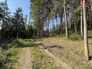 Prodej lesa, Milešov, 23184 m2