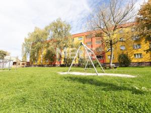 Pronájem bytu 2+1, Karviná - Ráj, Haškova, 56 m2