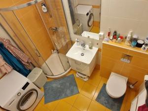 Pronájem bytu 2+kk, České Budějovice, Puklicova, 57 m2