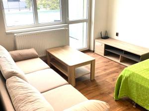 Pronájem bytu 1+1, České Budějovice - České Budějovice 3, Opatovická, 32 m2