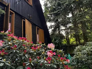 Prodej chaty, Rabyně, 65 m2
