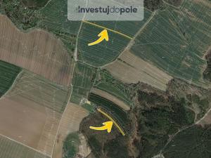 Prodej lesa, Boskovice, Šemberova, 1395 m2