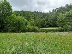 Prodej chaty, Poříčí nad Sázavou, Vrabčí brod, 100 m2