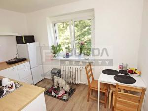 Pronájem bytu 1+1, Neratovice, 28 m2