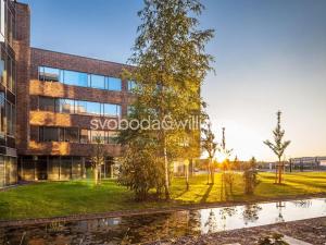 Pronájem skladu, Ostrava, Na Rovince, 11383 m2