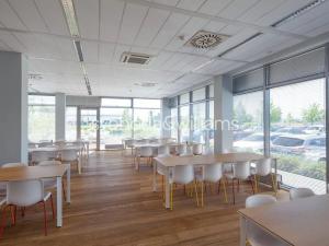 Pronájem výrobních prostor, Ostrava, Na Rovince, 4890 m2