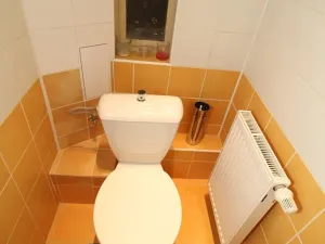 Pronájem bytu 2+kk, Praha - Vinohrady, Mánesova, 65 m2