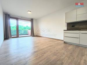 Pronájem bytu 1+kk, Slaný, Lázeňská, 35 m2