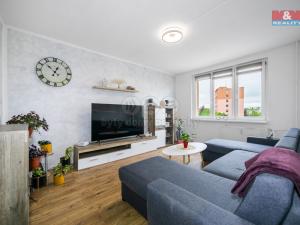 Prodej bytu 2+1, Chomutov, Skalková, 51 m2