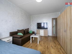 Prodej bytu 2+1, Chomutov, Skalková, 51 m2