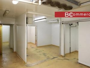 Pronájem skladu, Brno, 280 m2