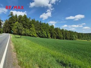 Prodej pozemku pro bydlení, Borová, 7429 m2