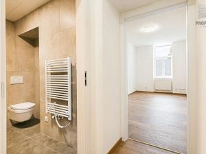 Pronájem bytu 2+kk, Brno, Stavební, 37 m2