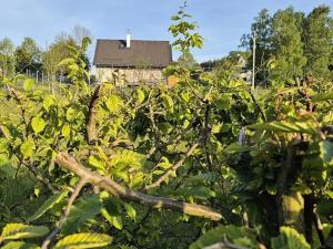 Prodej chalupy, Kytlice, 112 m2