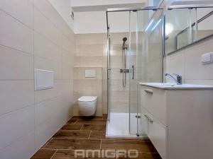 Pronájem bytu 1+kk, Brno, Kotlářská, 25 m2