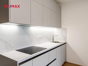 Pronájem bytu 1+kk, Praha - Žižkov, Malešická, 47 m2