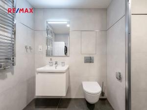 Pronájem bytu 1+kk, Praha - Žižkov, Malešická, 47 m2