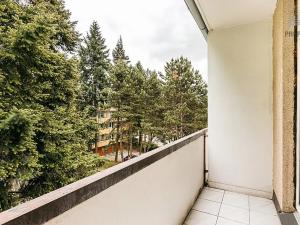 Prodej bytu 2+1, Brno, Luční, 54 m2