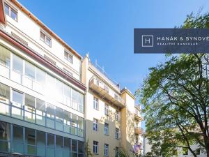 Pronájem bytu 1+1, Brno, Anenská, 25 m2