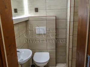 Pronájem bytu 1+1, Brno, Pionýrská, 35 m2