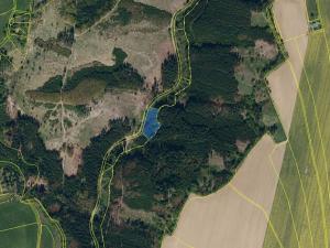 Prodej lesa, Ledeč nad Sázavou, 3240 m2
