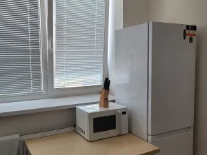 Pronájem bytu 2+1, Brno, Vídeňská, 43 m2