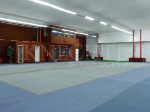 Pronájem obchodního prostoru, Cheb, 1126 m2