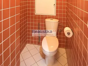 Pronájem bytu 2+kk, Plzeň, Slovanská alej, 65 m2