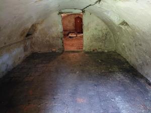 Prodej rodinného domu, Červená Voda, 265 m2