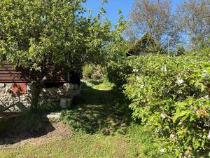 Prodej chaty, Zdiby, 16 m2