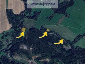 Prodej lesa, Prosíčka - Dolní Prosíčka, 4042 m2