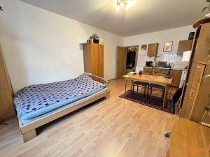 Pronájem bytu 1+kk, Praha - Libeň, Braunerova, 30 m2